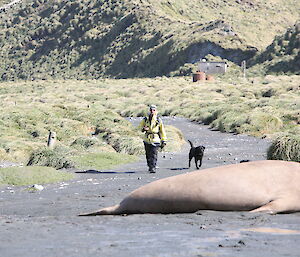 Dave, Wags (dog) and Tamar (dog, out of view) arriving back on Station