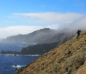 Dave S hunting Cape Star, hiking up a large steep green slope