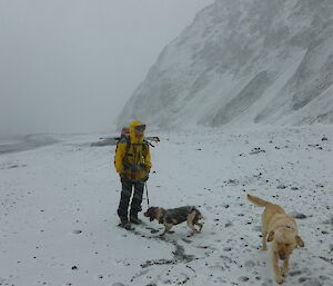 Steve at the Nuggets in snow with two of the dogs