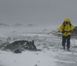 Stu walking into a strong cold wind