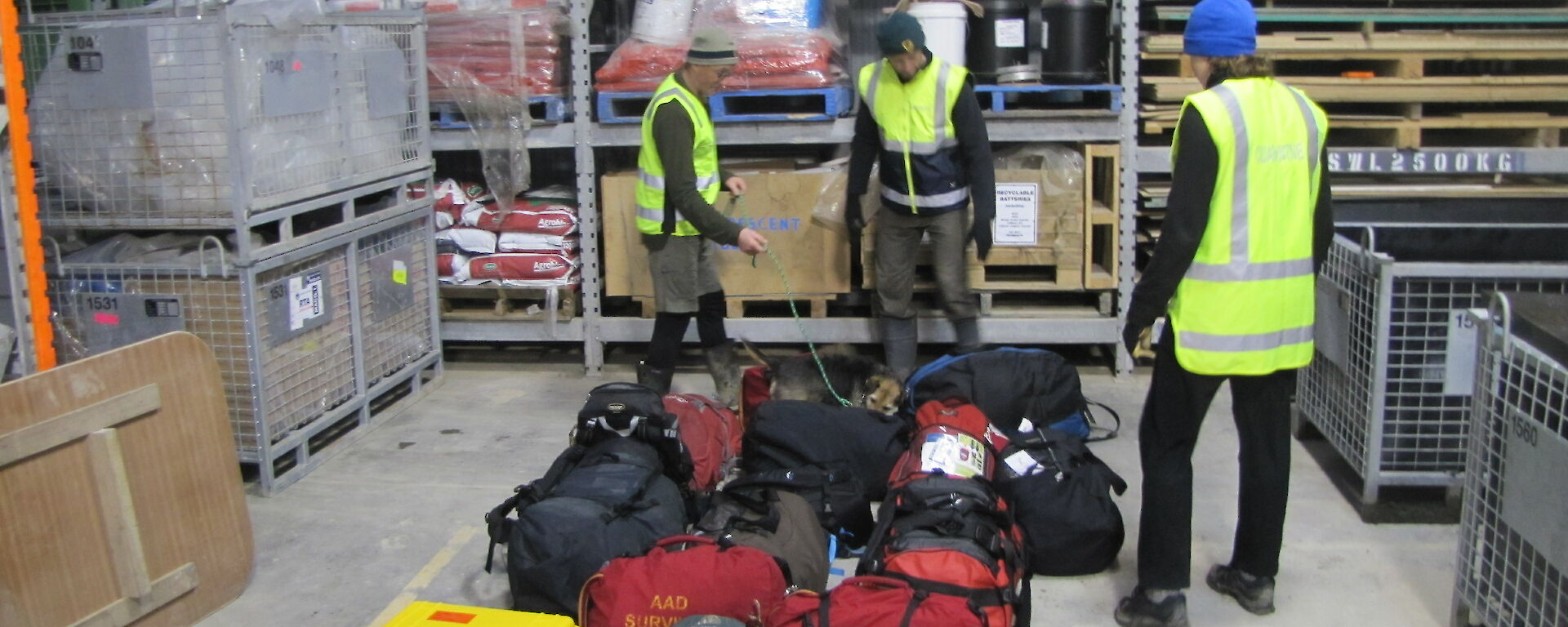 All cargo inspected by the Macca’s quarantine team and Tamar the rodent dog