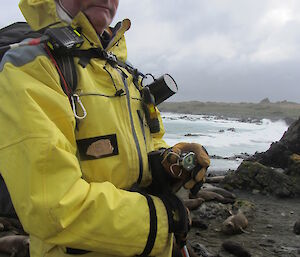 Dave S counting seals for the seal census