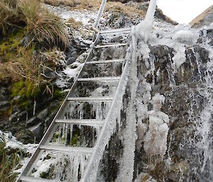 Icy ladder at Gadgets Gully