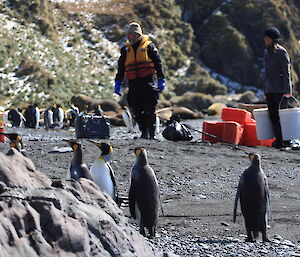 Unloading food and fuel with penguins looking on