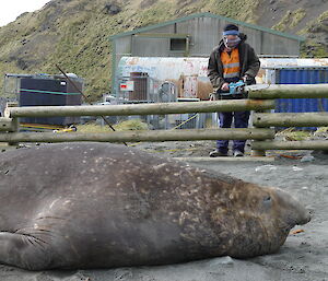 Jim adding more height to the seal-proof fence