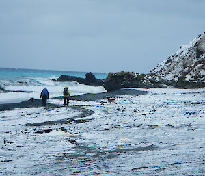 MIPEP hunters and dogs on a snowy beach