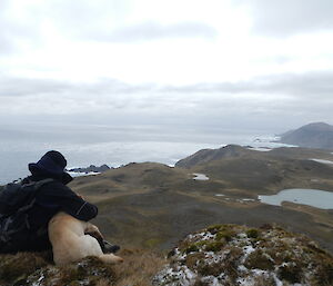 Jack and Ricco (dog) sit on a hill overlooking land and sea