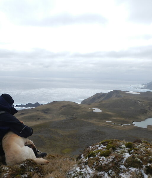 Jack and Ricco (dog) sit on a hill overlooking land and sea