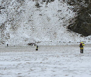 Hunters assisting with the skua survey