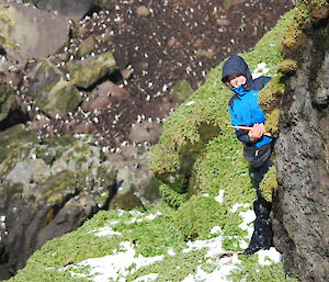 Jaimie peeking out from behind a mossy rock on Macquarie Island