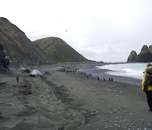 Dave walking back to station via Nuggets and the beach