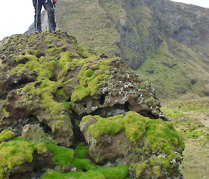 Karen standing on top of a rocky outcrop covered in moss