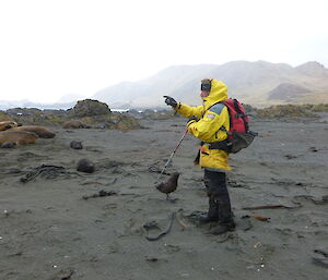 Gaz surrounded by wildlife near the rocky shore