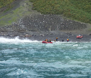 Departing Hurd Point. Photo taken from water looking at beach which is covered in penguins and elephant seals