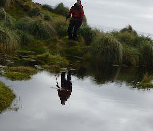 Cameron treks through marsh with a small pond in front