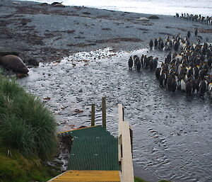 View from the platform at Sandy Bay