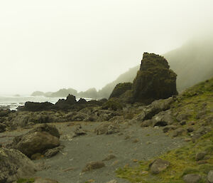 Precarious Bay, foggy and prehistoric looking with dark sand and tall rocks