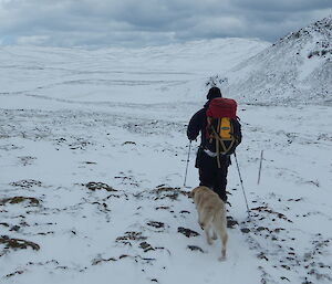 Jack and Ricco (dog) trudge through snow on Macquarie Island