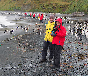 Hunter and part-time guide Stu with one of the tourists on a beach with many royal penguins