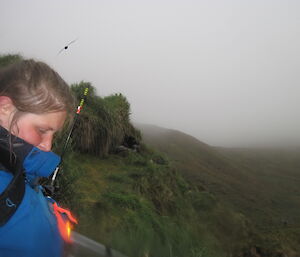 Jaimie above Hidden Valley