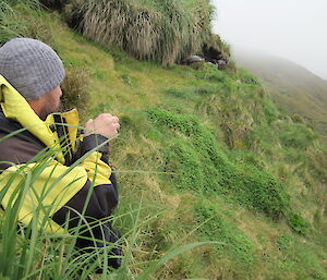 Robby participating the sooty albatross census