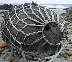 Washed up beach debris