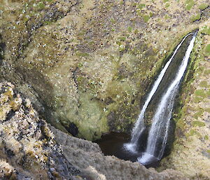 One of the many waterfalls on Macca