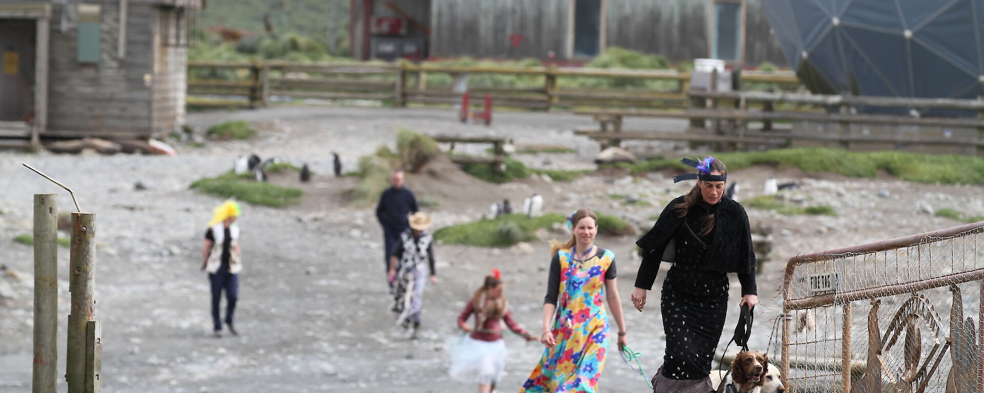 Dogs and their trainers parade in front of expeditioners before the annual dog race