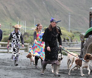 Expeditioners in costume walk dogs in a line