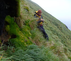 Expeditioner on a grassy slope recording bird sightings