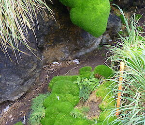 An empty burrow