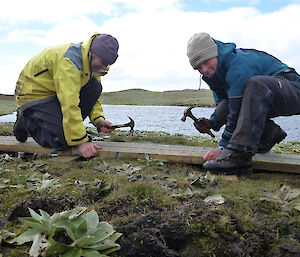 Stu and Kelly securing chicken wire to the planks