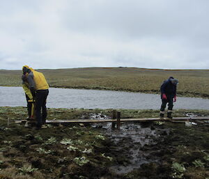 Team laying permanent planks over mud