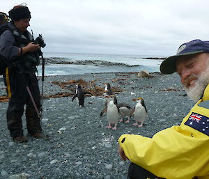 Two expeditioners standing and watching 5 royal penguins