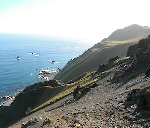 Steep slopes, scree and ocean in background