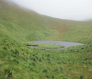 Lake on the plateau surrounded by green tussock grass