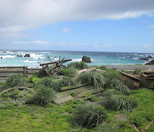 Large rusted heritage pots with the west coast in the background