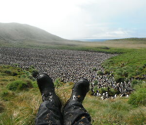 Expeditioner taking a photo of his feet with a royal penguin colony in the background