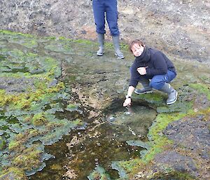 Two expeditioners looking into a rock pool