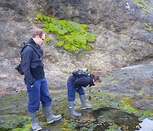 Two expeditioners looking into rock pools