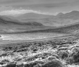 View across the plateau of mountain peaks black and white photo, Pyramid Peak