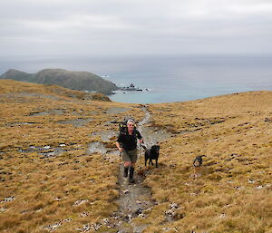 Expeditioner walking along a track with his two dogs