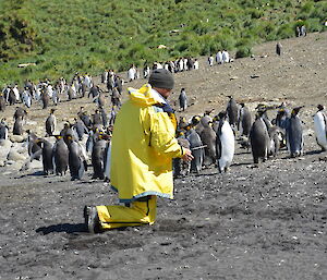 Expeditioner on his knees collecting penguin scats