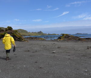 Expeditioner dressed in yellow water proof clothing walking along the beach