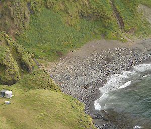 Looking down from height over a hut, bay and seal colony