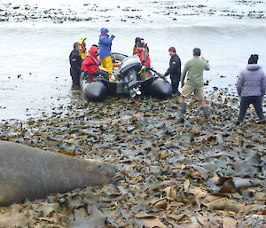 Expeditioners in inflatable boats ready to depart the beach with others looking on