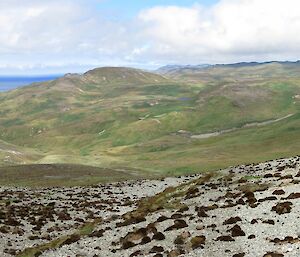 View of plateau down to the ocean, rolling green hills