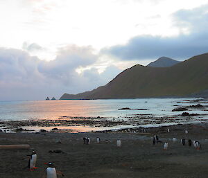 Sunset views down the island, two rock stacks in background