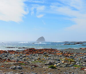 Ocean view with a large rock stack in background