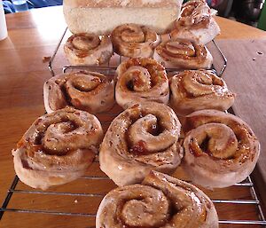 Freshly baked bread and scrolls displayed on the bench in the hut